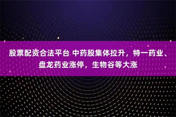 股票配资合法平台 中药股集体拉升，特一药业、盘龙药业涨停，生物谷等大涨
