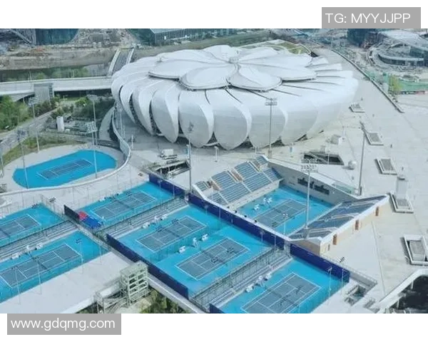 杭州网球队引领最新网球灵活性TOP10榜单全面解析 杭州网球队引领最新网球灵活性TOP10榜单全面解析