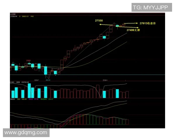 重庆足球队与深圳足球队赛后技术分析与战术复盘