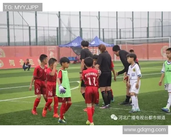 蚌埠足球之星的崛起与辉煌历程探秘