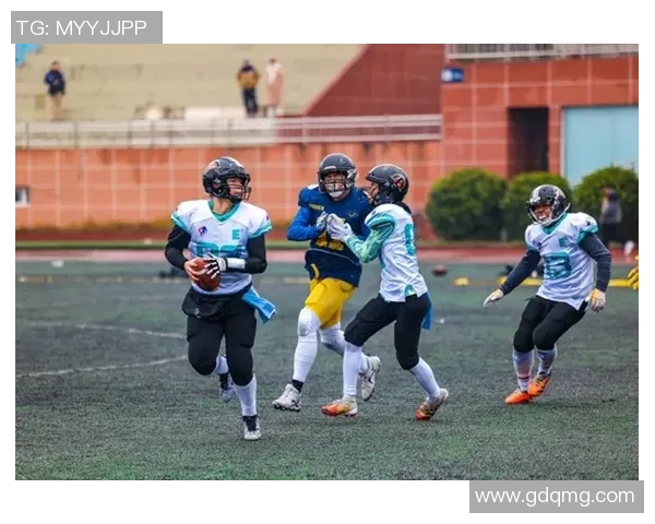 西安羽毛球队在世界杯中的个人能力表现深度分析与点评