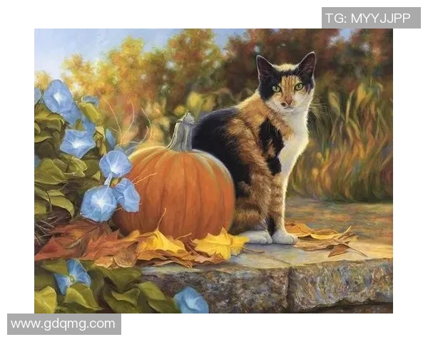 足球明星与猫的奇妙缘分揭秘哪位球星对猫情有独钟 足球明星与猫的奇妙缘分揭秘哪位球星对猫情有独钟