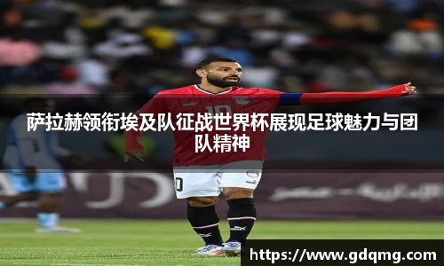 OD体育官网